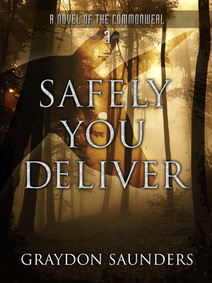 cover image of Safely You Deliver